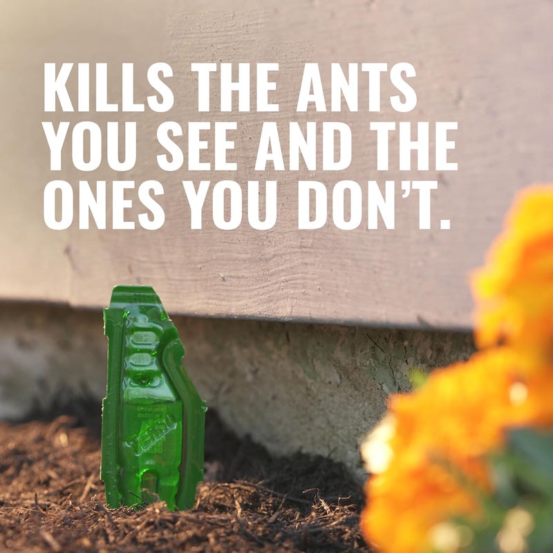 Terro طُعوم سائلة للنمل - T1813B - مصائد نمل جاهزة للاستخدام في الهواء الطلق، تقتل النمل المنزلي، 12 وتد - Image 2